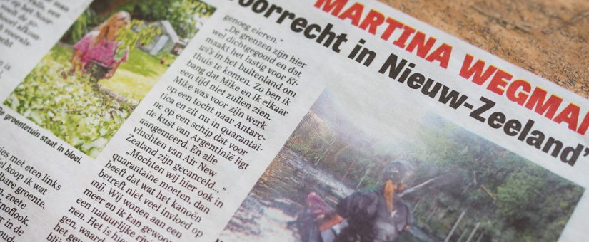Telegraaf  (Dutch)